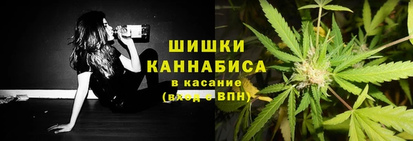 гашик Касимов