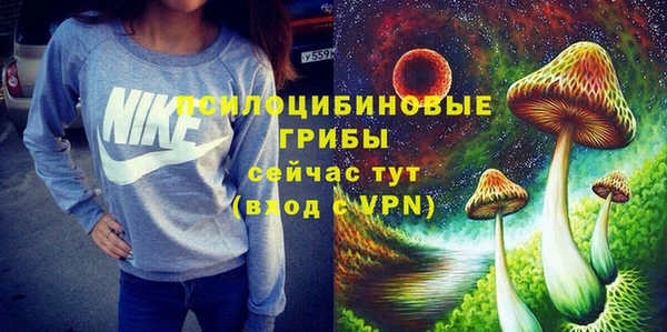 МДМА Карпинск