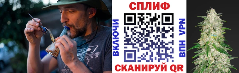Купить где  Белозерск  Каннабис гибрид 
